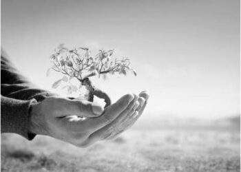 La Democracia que debemos proteger, la Libertad que debe perdurar