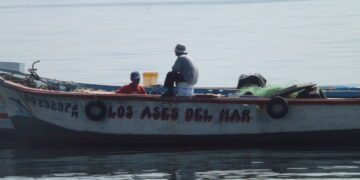 Perú: Empleo y Claves para la Empleabilidad en estos tiempos