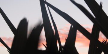 “Nunca se debe tener miedo de decir la verdad, porque ese es el camino para la libertad”