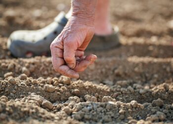 España 2021: una nueva reforma del sistema público de pensiones