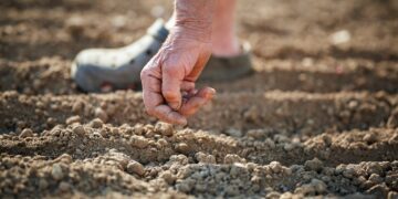 España 2021: una nueva reforma del sistema público de pensiones