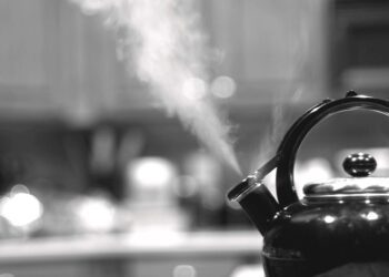 Desde izquierda “unida” hasta izquierda “vencida”, son lo mismo, no sirven para nada positivo