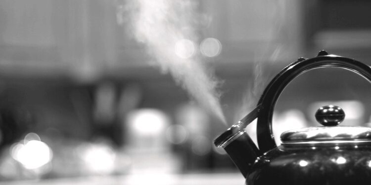 Desde izquierda “unida” hasta izquierda “vencida”, son lo mismo, no sirven para nada positivo