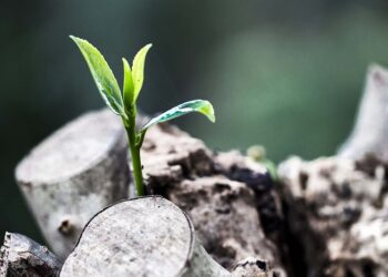 “Este cristianismo decadente que tenemos aquí no merece seguir existiendo, no puede seguir así”