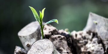 “Este cristianismo decadente que tenemos aquí no merece seguir existiendo, no puede seguir así”