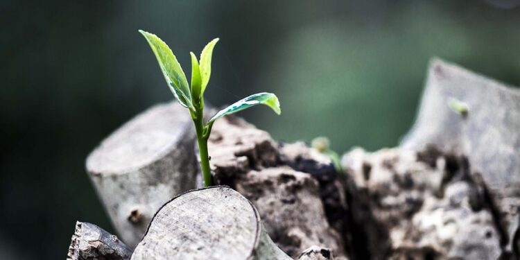 “Este cristianismo decadente que tenemos aquí no merece seguir existiendo, no puede seguir así”