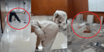 Luis Zolla hace un enfoque necesario sobre EsSalud: La gestión que todos debemos propender