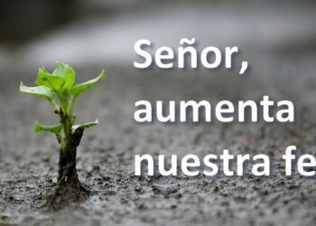 La Iglesia Católica: ¿Debe actualizarse? O la respuesta es “más Fe”