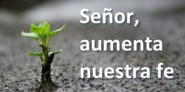 La Iglesia Católica: ¿Debe actualizarse? O la respuesta es “más Fe”