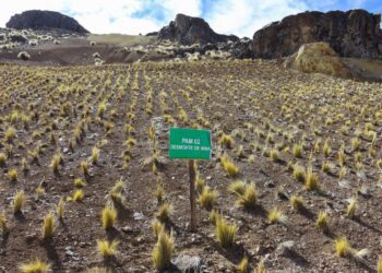 Puno: Activos Mineros concluyó obras de remediación en antigua unidad minera