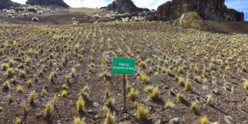 Puno: Activos Mineros concluyó obras de remediación en antigua unidad minera