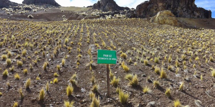 Puno: Activos Mineros concluyó obras de remediación en antigua unidad minera