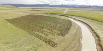 ¡Oh, Perú de metal y melancolía!: Rol del Estado respecto de pasivos ambientales y rentabilidad social