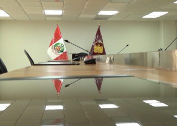 Cuestiones de desconfianza: el tribunal inconstitucional