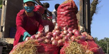 De los 532 productos que componen la canasta familiar 376 subieron de precio