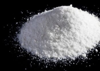 La coca: ¿Hoja bendita? “Evitemos ser una narcosociedad”