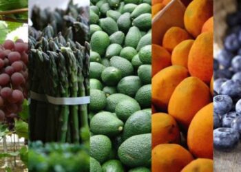 Esfuerzo del sector privado: Volumen exportado de productos no tradicionales aumentó