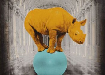 ¿Tu falta de confianza? ¿Tu permanente incapacidad moral?