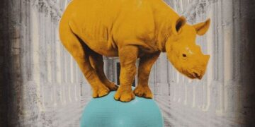 ¿Tu falta de confianza? ¿Tu permanente incapacidad moral?