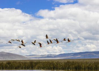 Activos Mineros presenta su primer Reporte de Sostenibilidad