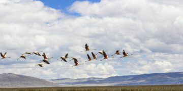 Activos Mineros presenta su primer Reporte de Sostenibilidad