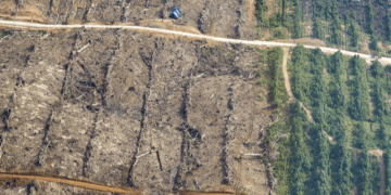 Tribunal peruano desestima caso de difamación contra periodista de Mongabay Latam