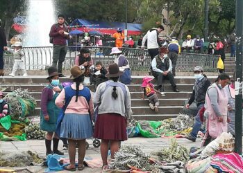 INEI: 24,8% de hogares es conducido por una persona adulta mayor