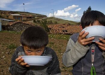 Noviembre: de 532 productos que componen la canasta familiar 361 subieron de precio