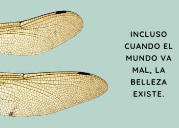 “La belleza de la metafísica”, un libro de Jean Grondin