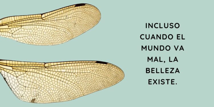 “La belleza de la metafísica”, un libro de Jean Grondin