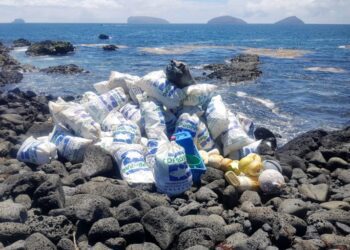 Basura con etiquetas asiáticas contamina las islas Galápagos