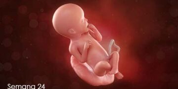 La expresión irracional del odio: el asesinato de los niños por nacer