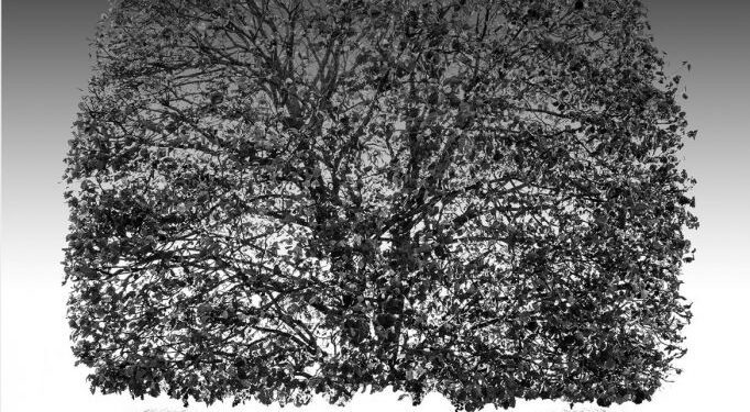 Si el Perú siempre está en crisis, ¿Necesitamos una salida o un cambio total?