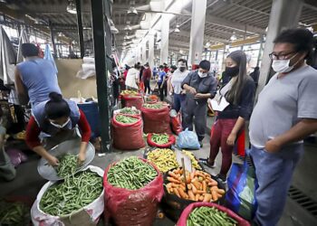 Lima Metropolitana: Precios al consumidor volvieron a subir en febrero 2022