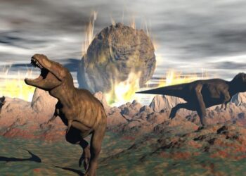 La desesperada agenda de la izquierda peruana en extinción