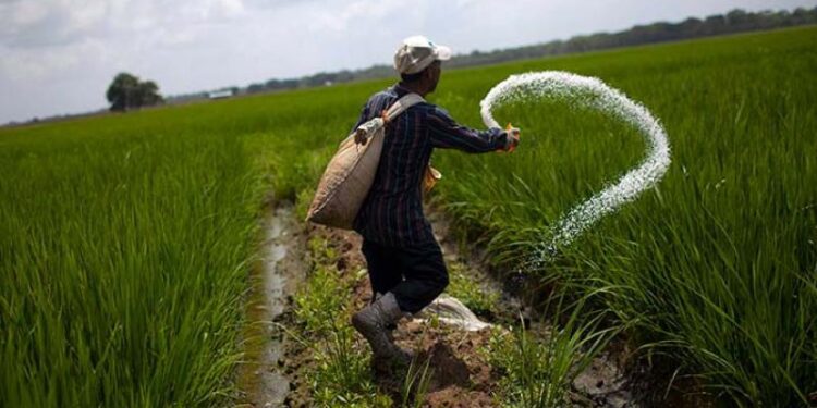 La escasez de fertilizantes, grave amenaza a nuestra agricultura