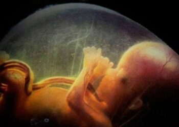 Los gritos silenciosos de los niños agredidos: 90 millones de abortos