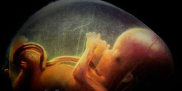 Los gritos silenciosos de los niños agredidos: 90 millones de abortos