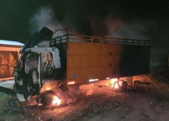 Hay terrorismo en Chile y el gobierno de ultraizquierda ampara su expansión