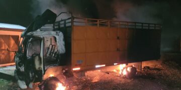 Hay terrorismo en Chile y el gobierno de ultraizquierda ampara su expansión