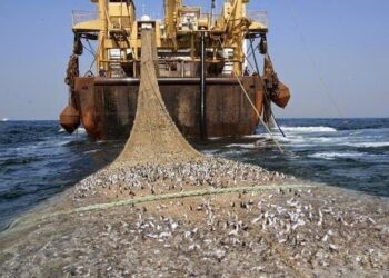 Desde problemas medio ambientales hasta la depredación de los océanos, el Mar fue de Grau