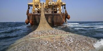 Desde problemas medio ambientales hasta la depredación de los océanos, el Mar fue de Grau