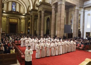 Más sacerdotes para el mundo: una vocación que se identifica plenamente con la idea de servicio