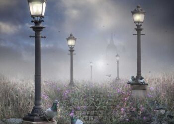 Consideraciones para impulsar la propiedad privada