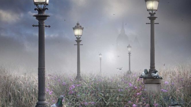 Consideraciones para impulsar la propiedad privada