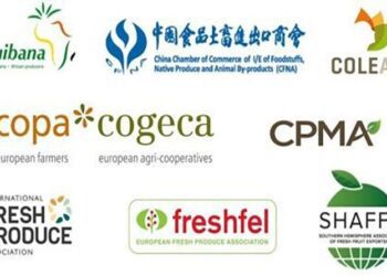 Piden que se declaren las frutas y verduras como bienes estratégicos