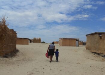 Del lagarto al pericote, con bufanda de intermedio