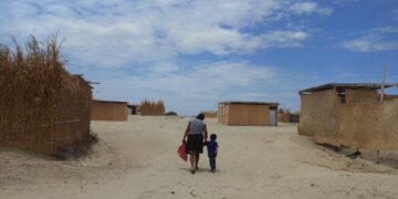 Del lagarto al pericote, con bufanda de intermedio