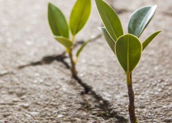 Hugo Guerra en el Diario Expreso: “Cuestión de vida o muerte”