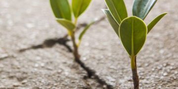 Hugo Guerra en el Diario Expreso: “Cuestión de vida o muerte”